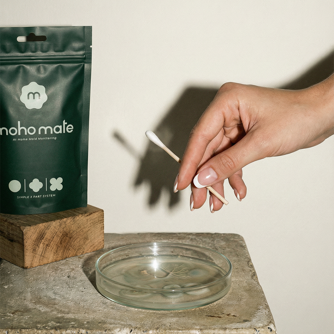 Moho Mate At-Home Mold Detection Kit