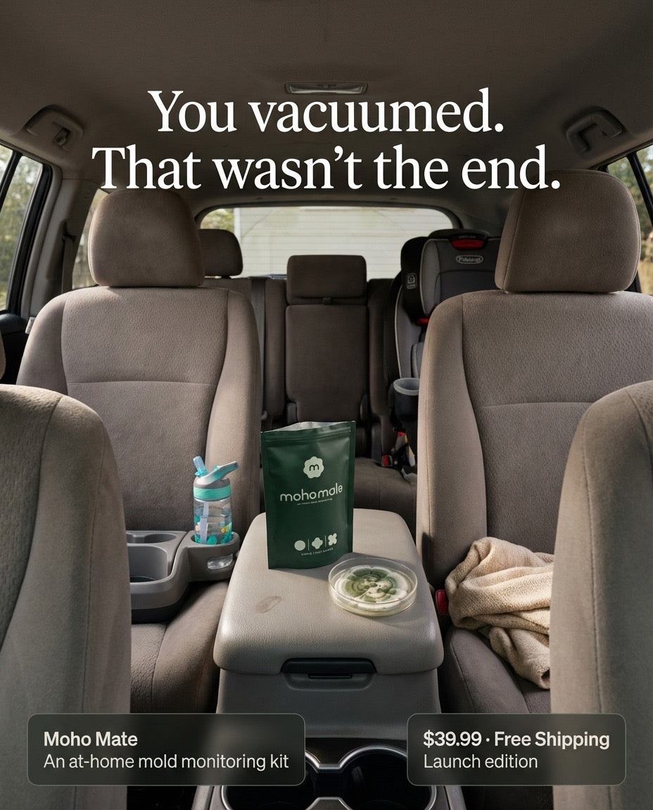 Moho Mate At-Home Mold Detection Kit